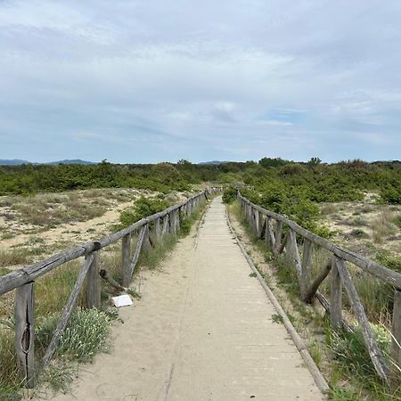Il Mio Piccolo Angolo Di Mare Viareggio Buitenkant foto