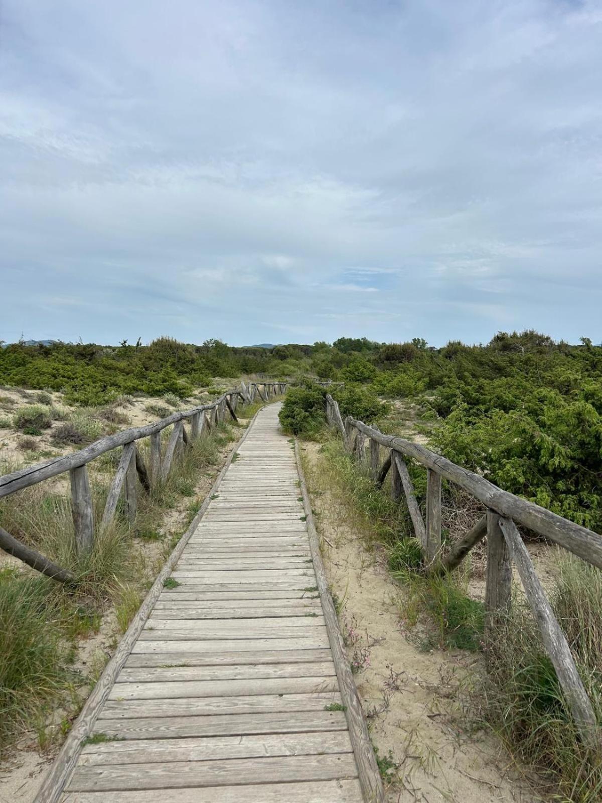 Il Mio Piccolo Angolo Di Mare Viareggio Buitenkant foto