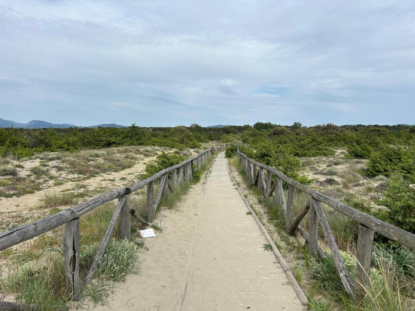 Il Mio Piccolo Angolo Di Mare Viareggio Buitenkant foto